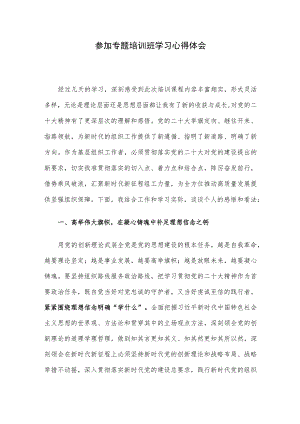 参加专题培训班学习心得体会.docx