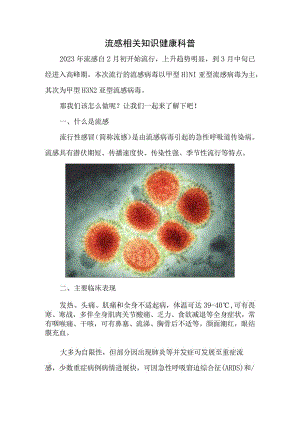 流感相关知识健康科普.docx