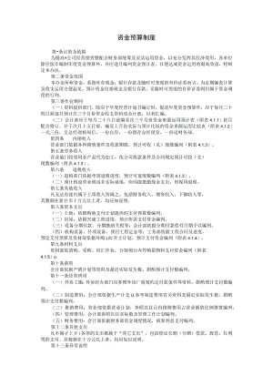 资金预算制度范本.docx