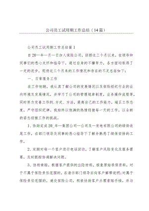 公司员工试用期工作总结(14篇).docx