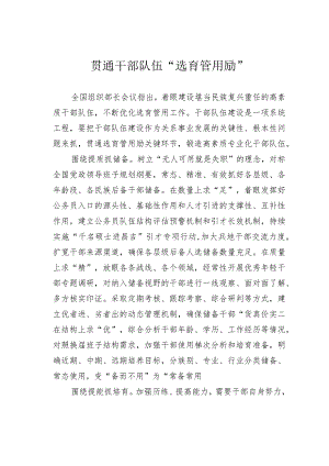 贯通干部队伍“选育管用励”.docx