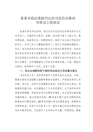 某某市政法委副书记在司法信访集训开班式上的讲话.docx