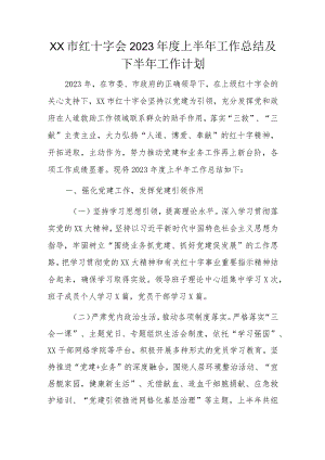 XX市红十字会2023年度上半年工作总结及下半年工作计划.docx