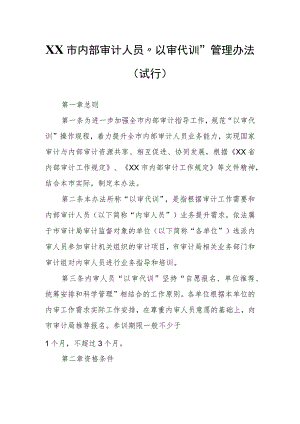 XX市内部审计人员“以审代训”管理办法（试行）.docx