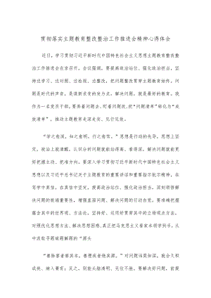 贯彻落实主题教育整改整治工作推进会精神心得体会.docx