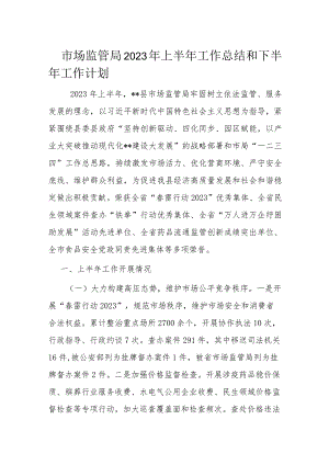 市场监管局2023年上半年工作总结和下半年工作计划.docx