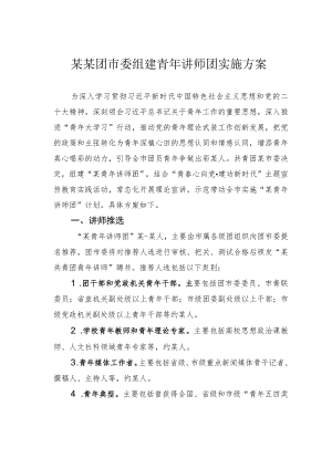 某某团市委组建青年讲师团实施方案.docx