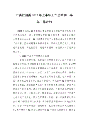 市委社治委2023年上半年工作总结和下半年工作计划.docx