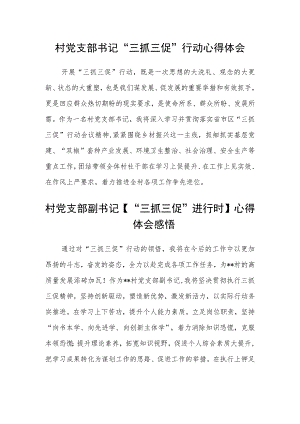 村党支部书记“三抓三促”行动心得体会(通用三篇).docx