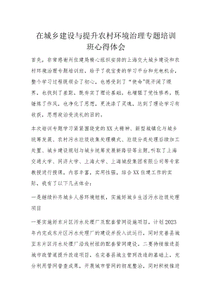 在城乡建设与提升农村环境治理专题培训班心得体会.docx