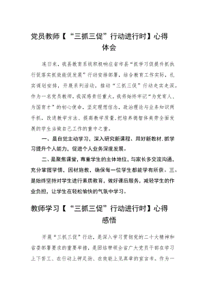 党员教师【“三抓三促”行动进行时】心得体会(精选三篇).docx