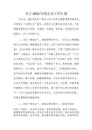 关于2023年的公安工作汇报.docx