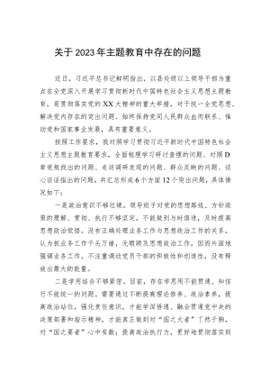关于2023年主题教育中存在的问题.docx