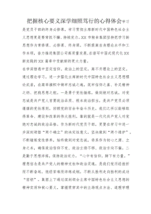 把握核心要义深学细照笃行的心得体会.docx
