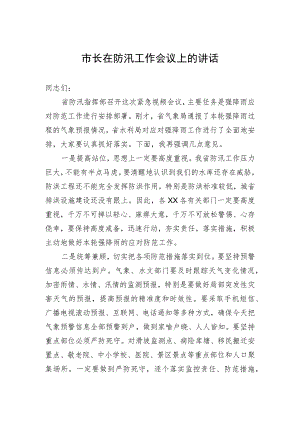 市长在防汛工作会议上的讲话.docx