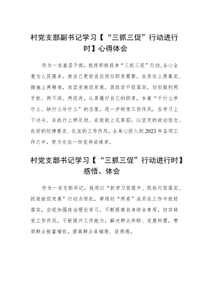村党支部副书记学习【“三抓三促”行动进行时】心得体会(精选三篇).docx