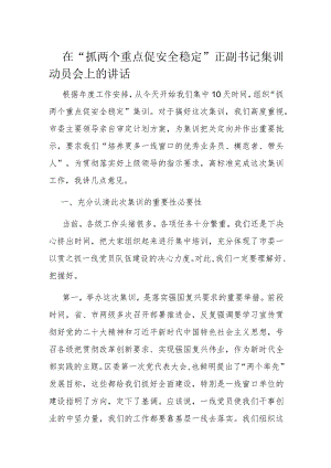 在“抓两个重点促安全稳定”正副书记集训动员会上的讲话.docx