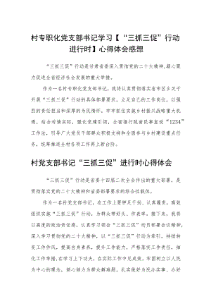 村专职化党支部书记学习【“三抓三促”行动进行时】心得体会感想(通用三篇).docx