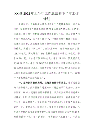 xx县2022年上半年工作总结和下半年工作计划.docx