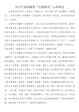 学习产业投融资“合肥模式”心得体会.docx