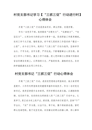 村党支部书记学习【“三抓三促”行动进行时】心得体会范文(通用三篇).docx