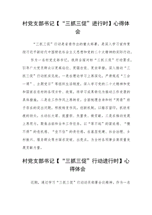 村党支部书记【“三抓三促”进行时】心得体会(通用三篇).docx