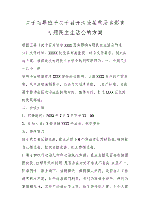 关于领导班子关于召开消除某些恶劣影响专题民主生活会的方案.docx