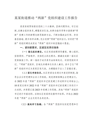 某某街道推动“两新”党组织建设工作报告.docx
