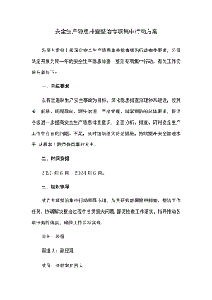 安全生产隐患排查整治专项集中行动方案.docx