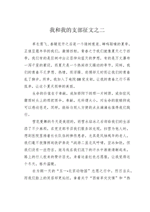 我和我的支部征文之二.docx