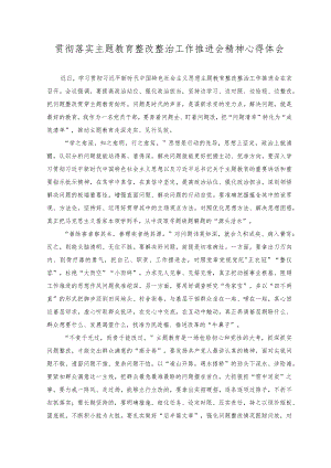 （2篇）贯彻落实主题教育整改整治工作推进会精神心得体会+统筹开展主题教育和教育整顿工作总结和心得.docx