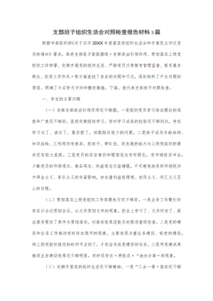 支部班子组织生活会对照检查报告材料3篇.docx