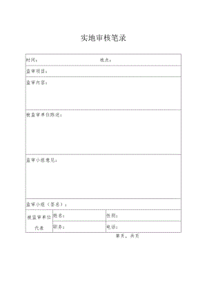 实地审核笔录.docx