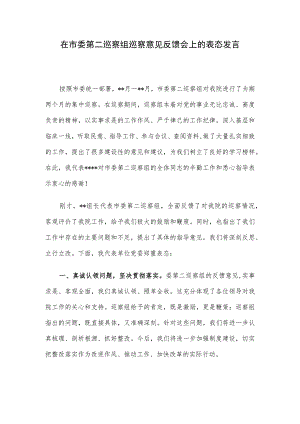 在市委第二巡察组巡察意见反馈会上的表态发言.docx