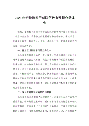 2023年纪检监察干部队伍教育整顿心得体会交流分享十一篇.docx