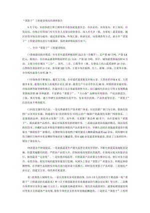 菜篮子”工程建设情况的调研报告.docx