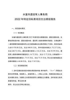 水富市退役军人事务局2022年特定目标类项目支出绩效报告.docx