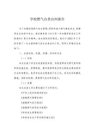 学校燃气自查自纠报告.docx