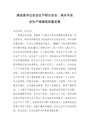 镇党委书记安全生产研讨发言：高水平安全生产保障高质量发展.docx