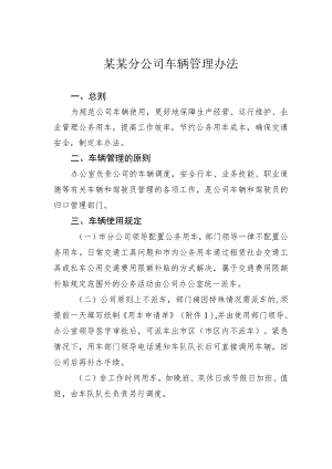 某某分公司车辆管理办法.docx
