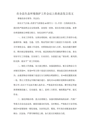 在全县生态环境保护工作会议上的表态发言范文.docx