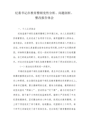 纪委书记在教育整顿党性分析、问题剖析、整改报告体会.docx