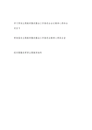 学习贯彻落实主题教育整改整治工作推进会精神心得体会研讨发言2篇.docx