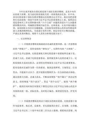 纪检监察干部个人党性分析报告.docx