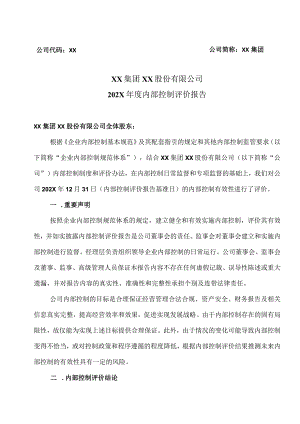XX集团XX股份有限公司202X年度内部控制评价报告.docx