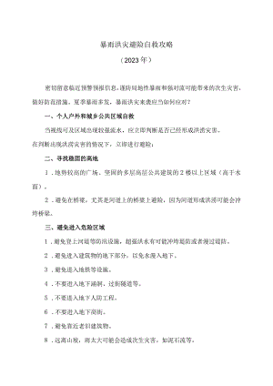 暴雨洪灾避险自救攻略（2023年）.docx