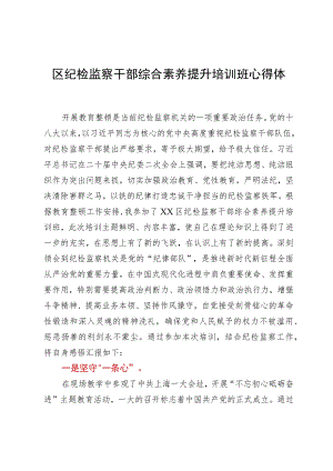 区纪检监察干部综合素养提升培训班心得体会.docx