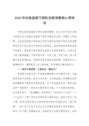 2023年全国纪检监察干部队伍教育整顿的心得体会十一篇.docx