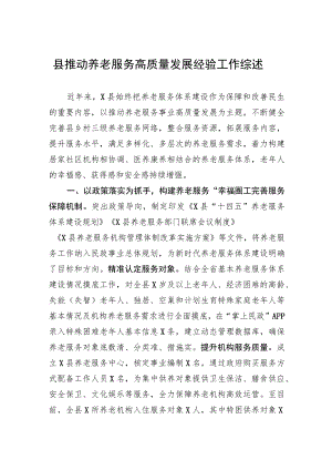 县推动养老服务高质量发展经验工作综述.docx