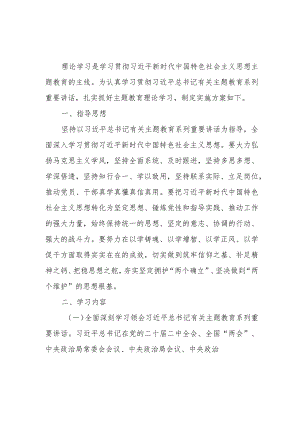 党委党支部学习贯彻2023年主题教育理论学习实施方案.docx